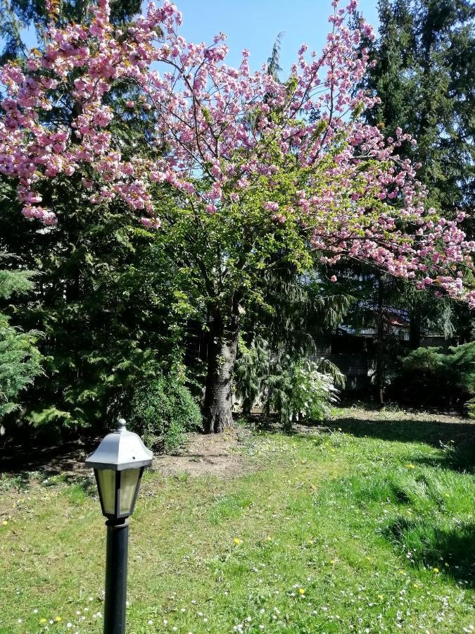 Villa Andy Praha Eksteriør bilde